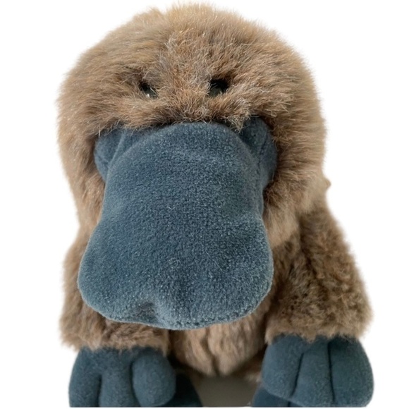Gund Webber the platypus plush stuffed animal toy - Picture 1 of 11